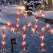 Christmas Candy Cane Lights 15 inch Set of 5 Candy Canes Christmas Pathway Lights Outdoor- Candy Cane Christmas Decorations Outdoor for Holidays Lighting up Sidewalk Yard