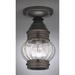 Northeast Lantern Onion 5 Inch Outdoor Flush Mount - 2014-AB-MED-CSG