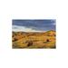 Loon Peak® Yeziel Bison Grazing in Badlands in theodore Roosevelt National Park, North Dakota | 16 H x 24 W x 0.25 D in | Wayfair