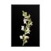 Latitude Run® NAT-2118-framed White Snapdragons Floral Nature Photo Framed Wall Art Print Framed On Paper Print in Black/Green | Wayfair