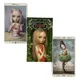 Nicoletta Ceccoli Tarot jeu de cartes cinq langues pour débutants jeu de cartes de Divination 78