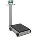 Cardinal & Detecto 8852F-185B 1000 lbs 185B Indicator Electronic Portable Scale