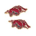 Women's CANVAS Style Arkansas Razorbacks Enamel Stud Earrings