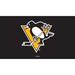 Pittsburgh Penguins 28" x 16" Turf Mat
