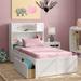 Three Posts™ Baby & Kids Casandra Bed Wood in White | Twin | Wayfair FAA29C4BA418444AB5433A2E14056DD9