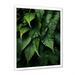 Gracie Oaks Ferns Plant Monochrome Symphony II - Print on Canvas in Green | 20 H x 12 W x 1 D in | Wayfair E65B053C803E4A1E81EC3447036CFA3A