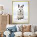 Gracie Oaks Nimble Hopper Rabbit II - Animals Wall Art Living Room Canvas, Cotton | 20 H x 12 W x 1 D in | Wayfair 993C61DC01F84641BCC4CA43079A050E