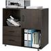 2 Drawer Mobile File Cabinet Wood Lateral Filing Cabinet with Door Rolling Printer Stand with Open Storage Shelves for Home Office