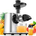 Vpcok Direct Slow Juicer Entsafter Gemüse und Obst mit 2 Geschwindigkeit & Umkehrfunktion & Saftkanne & Reinigungsbürste (MEHRWEG), Schwarz