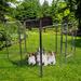 iYofe Pet Dog Playpen Pet Dog Fence Metal Dog Pen Outdoor Exercise Pen w/ Doors Metal | 40 H x 63.5 W x 63.5 D in | Wayfair