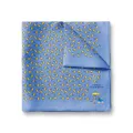 Charles Tyrwhitt Raining Cats And Dogs Print Silk Pocket Square, Cornflower Blue