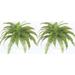 Two 25 Inch Spread Artificial Silk Fern Bushes 40 Inch Spread Plants 48 Branches