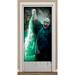 NA Harry Potter Harry Potter Voldemort Door Cover Plastic in Black/Green | 60 H x 30 W x 0.36 D in | Wayfair 672284