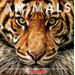 Animals: Witness Life in the Wild Featuring 100s of Species (paperback) - by Scholastic