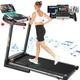 SYTIRY Treadmill with 10 HD TV Touchscreen & 3D Virtual Sports Scene 3.25HP Folding Running Machine with Manual Incline Foldable Treadmill with 300lbs Weight Capacity for Home Gym Office Black