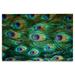 Close Up of Colorful Peacock Feathers Photography Birch Wood Wall Sign (12x18 Rustic Home Decor Ready to Hang Art)