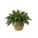 Nearly Natural 23in. Artificial Boston Fern Plant with Handmade Jute & Cotton Basket DIY KIT Green
