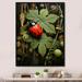 Ebern Designs Ladybug Ladybugs Leisure Framed On Canvas Print Canvas, Cotton in Brown/Green/Red | 20 H x 12 W x 1 D in | Wayfair