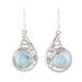 Sea of Delight,'Circular Larimar Dangle Earrings from India'