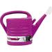 Bond 5017BL Watering Can (Assorted 12) 2 Gallon