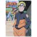 Naruto 11.5" x 8.25" Metal Sign