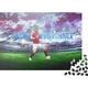 1000 Pieces Jigsaw Bastian Schweinsteiger Puzzle Adults Puzzles Jigsaw Standard Football Star Puzzle Wooden Game Jigsaw Family Decoration Education Games Toys 1000pcs (75x50cm)