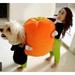 Moocorvic Dog Cat Pumpkin Costumes Pet Halloween Christmas Decor Cosplay Dress Funny Clothes(M)