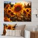 August Grove® Orange Sunflowers Sunlit Sunflowers II Canvas, Cotton | 12 H x 20 W x 1 D in | Wayfair 06B6CB370FFB4044A7C9D2DFAC4E4CE0