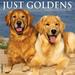 Just Goldens 2024 Wall Calendar, 12" L X 12" W, Large, 12 IN