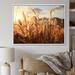 Gracie Oaks Beige Herbs Field II On Canvas Print Metal | 16 H x 32 W x 1 D in | Wayfair BF6D2DEF7BBE4073A8D17417A1F26998