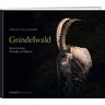 Grindelwald - Speedy Füllemann