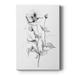 Wild Poppy Sketch Premium Gallery Wrapped Canvas - Ready to Hang