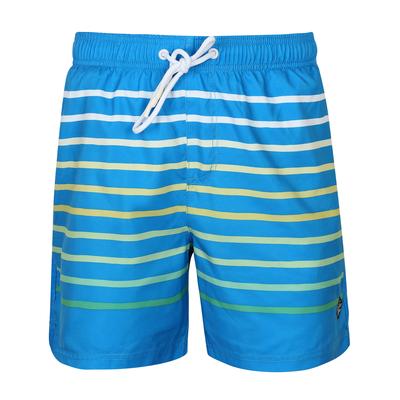Swim Shorts Freemason Ombre Striped Swim Shorts in Swedish Blue - South Shore / L - Tokyo Laundry