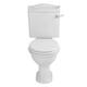 Cooke & Lewis Montague Modern Close-Coupled Toilet With Standard Close Seat