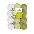 Spaas Jasmine Tea Light Candle, Pack Of 24