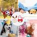 2Pcs Pet Dogs Cats Xmas Costume Accessories Christmas Deer Scarf and Hat Set