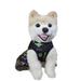 Pumpkin Dog Costumes Halloween Ghost Skull Puppy Dog Dress for Party