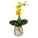 Nearly Natural 18 Mini Orchid Phalaenopsis Artificial Arrangement in Floral Vase