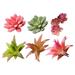 6 Pcs Simulated Succulent Plant Ornament Fake Plant Landscape Decors Ornaments for Home Office Garden Supplies