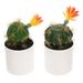 2pcs Simulated Cactus Shape Bonsai Artificial Cactus Ornament Creative Desktop Ornaments
