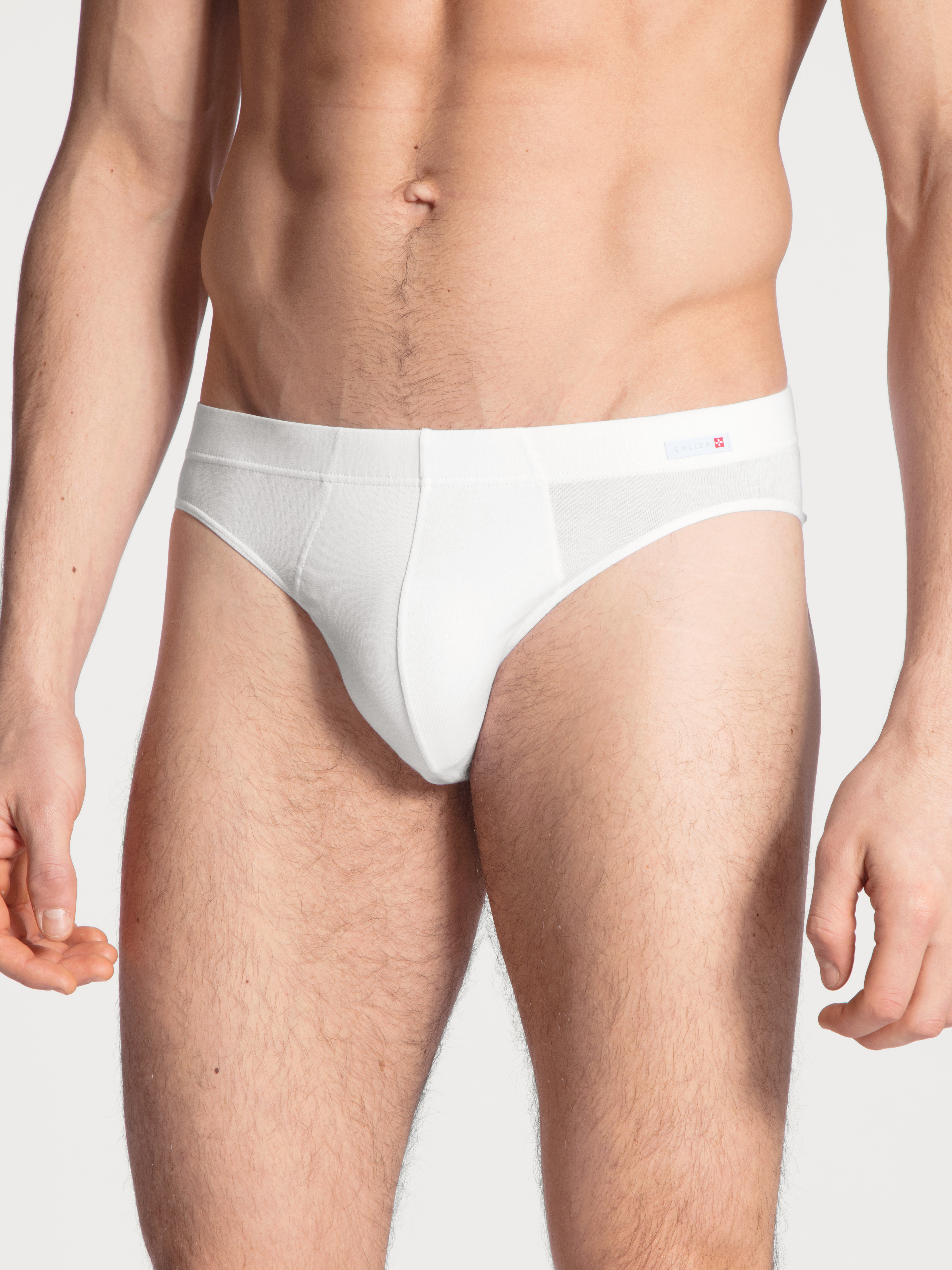 Slip CALIDA "Evolution", Herren, Gr. M (50), weiß, Single Jersey, Obermaterial: 94% Baumwolle, 6% Elasthan, unifarben, normal, Unterhosen, weich, ohne Eingriff, elastisch, Single Jersey-Qualität Image