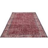 Beige 60" x 101" L Area Rug - Lofy Rectangle Atina Rectangle 4'11" X 8'4" Area Rug 101.0 x 60.0 x 0.4 in whiteWool | 60" W X 101" L | Wayfair