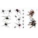 NUOLUX 30pcs 3D Halloween Stickers Waterproof Temporary Spider Prints Tattoos Decorative Sticker for Boys and Girls (Black)