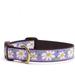 Pattern ( Dog Collar Large (15 to 21 inches) 1 inch Wide Width)