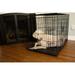 Iconic Pet Foldable Double Door Pet Dog Cat Training Crate