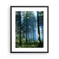 ARTTOR Poster Black Frame 40x50cm Forest Dawn The Sun Poster Print Pictures for Walls Home Decor Printed Modern Artwork Wall Art Decoration Living Room Bedroom Kitchen Photo Gallery P2BPA40x50-4398