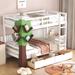 Twin-over-Twin Bunk Bed with a Tree Decor and Two Storage Drawers,White