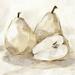 Lark Manor™ White Pear Study I by Ethan Harper - Wrapped Canvas Painting Canvas | 36" H x 36" W | Wayfair 1B0F55E2014746C78B77B6A2AD4DE19F