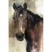 Red Barrel Studio® Hank Light V2 by Marilyn Hageman - Wrapped Canvas Painting Metal | 30" H x 20" W | Wayfair 086FD0BEC26246B4BBE11CBDBCCD4C43