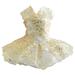 Eye-Catching Pet Skirt Wear-Resistant Teddy Dog Lace Style Wedding Dress - Enhance Your Pet s Photogenic Look